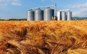 Why do farmers have to invest in using grain storage?