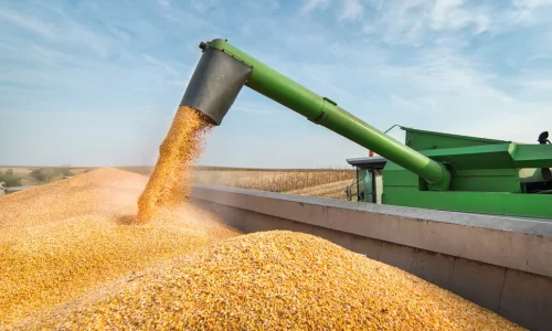 The Advantages of Grain Marketing Solutions