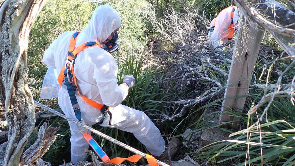 asbestos removal wollongong