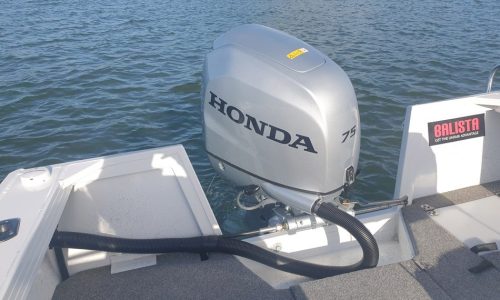 Professional Outboard Motors For Sale: Quality Service in Cairns