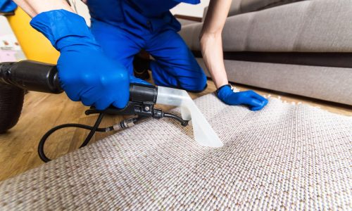 Get Clean Carpets with Trusted Care Restoring Comfort
