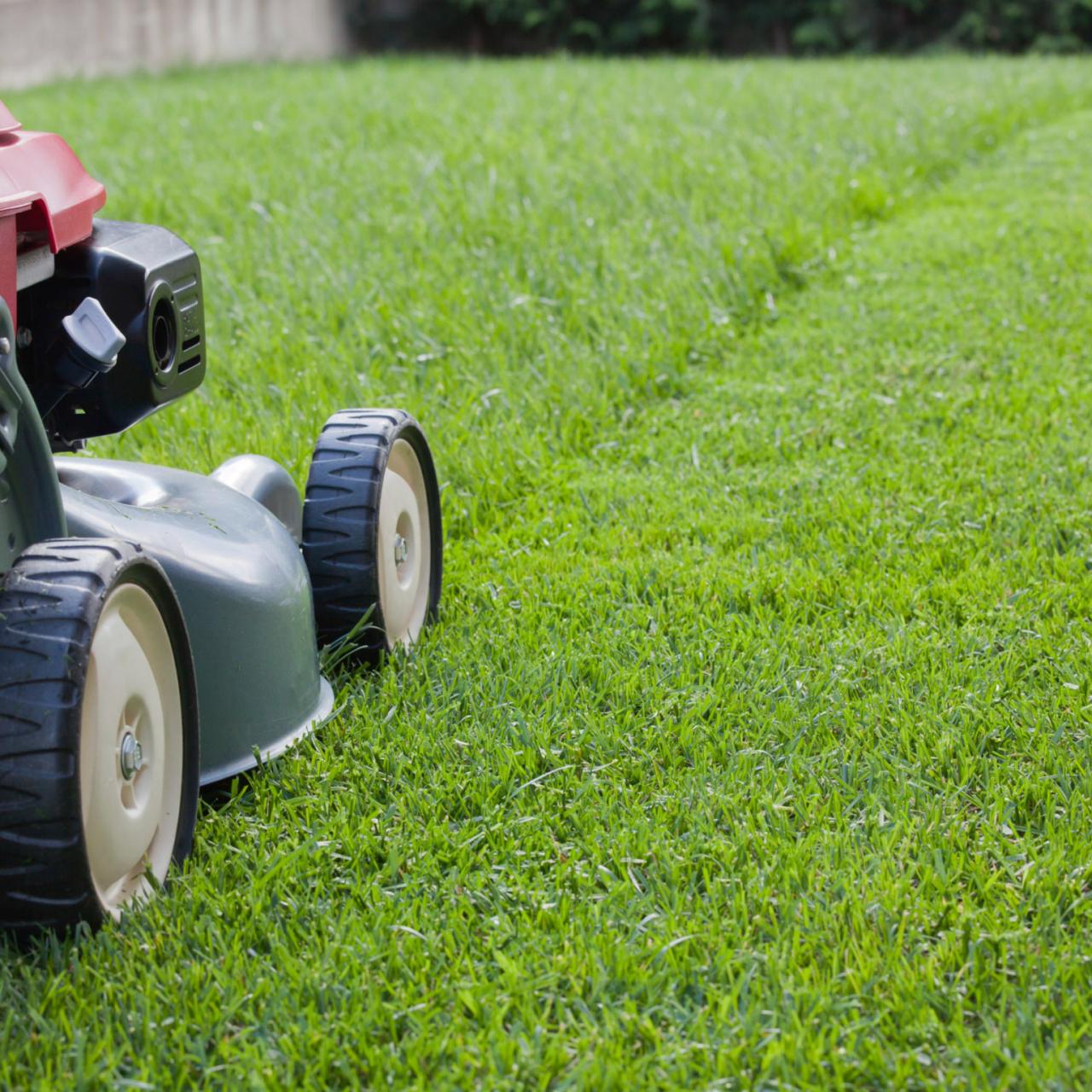 lawn care