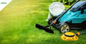 lawn care and landscaping