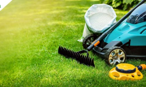 Consistent Outdoor Surface Care With Lawn Care Anchorage AK Support