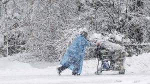 Expert Anchorage Alaska Snow Removal Strategies During Heavy Seasonal Snowfalls